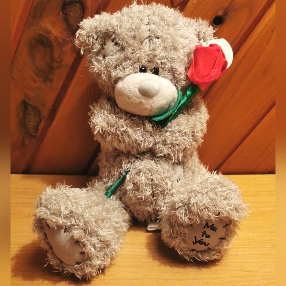 Tatty Teddy Bear